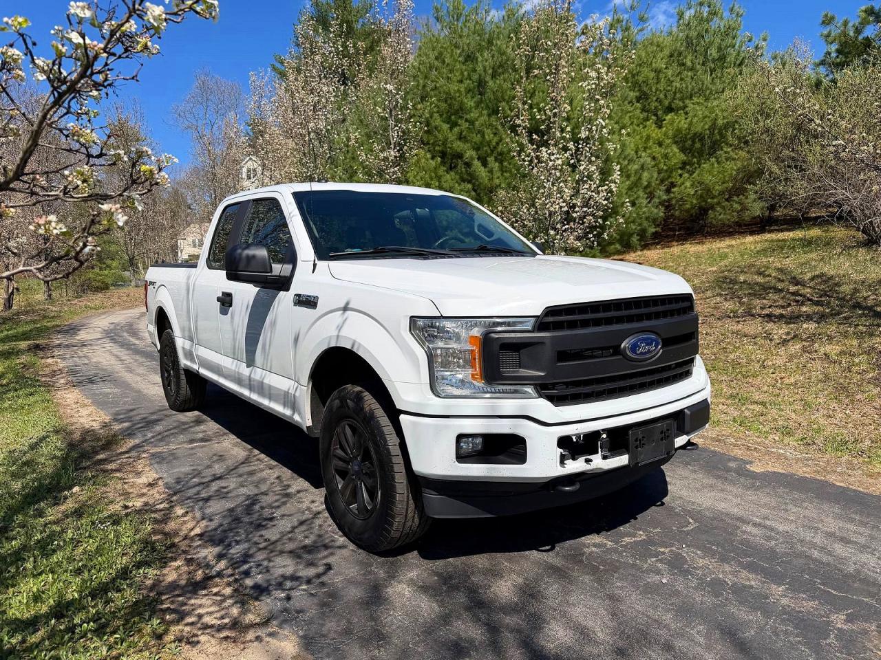 2019 FORD F150
