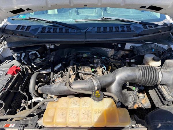 2019 FORD F150
