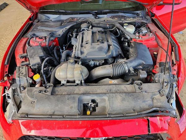 2017 FORD MUSTANG I4 Convertible