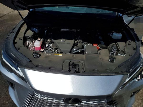 2025 LEXUS RX 350