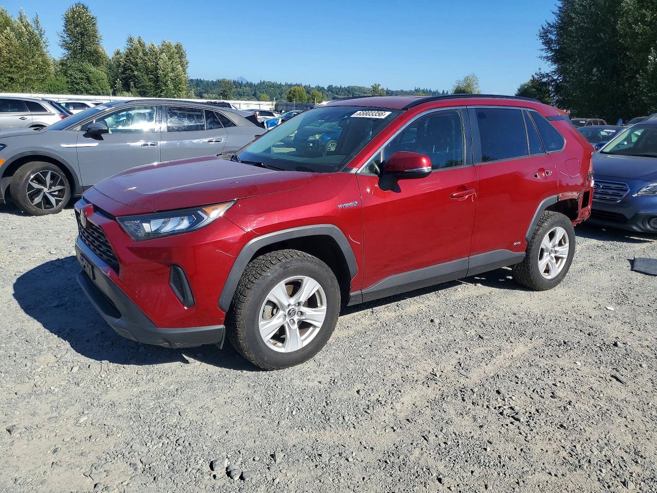 2019 TOYOTA RAV4 LE HV 4WD