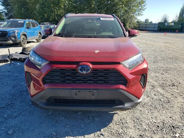 2019 TOYOTA RAV4 LE HV 4WD