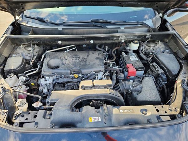 2019 TOYOTA RAV4 XLE / XLE Premium 4WD