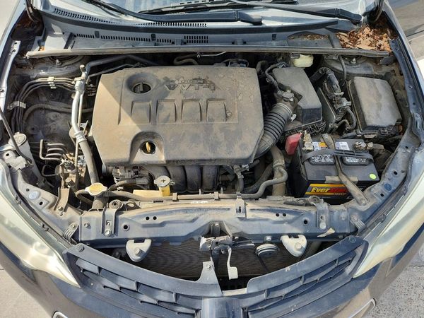 2015 TOYOTA COROLLA L/LE