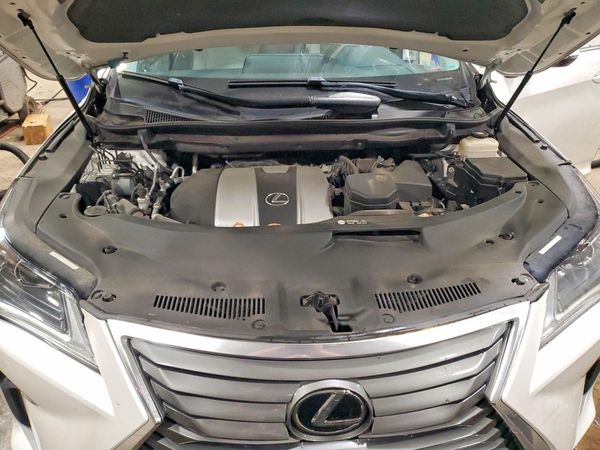 2019 LEXUS RX 350