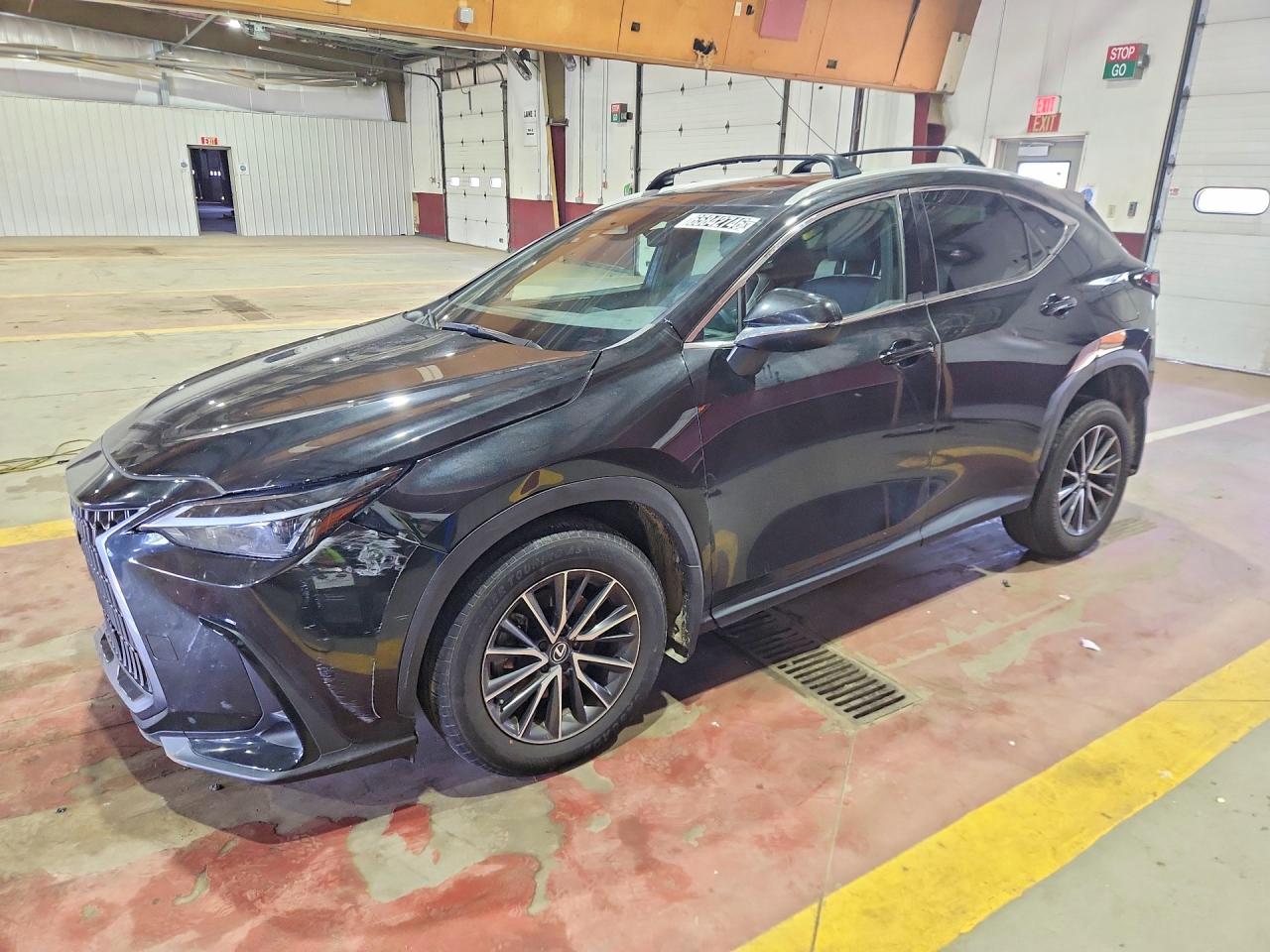 2024 LEXUS NX 250 350 Base