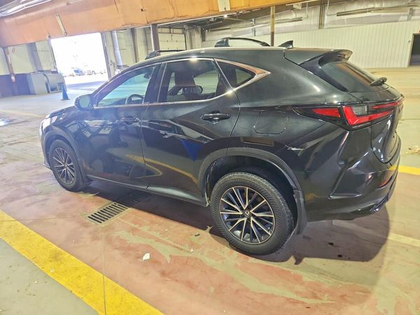 2024 LEXUS NX 250 350 Base