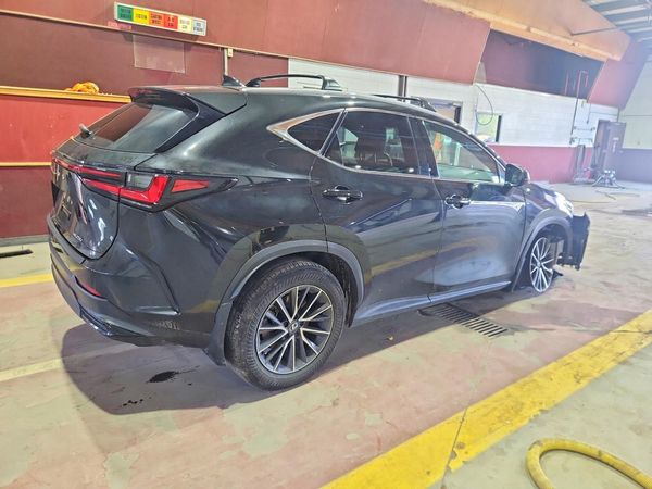 2024 LEXUS NX 250 350 Base