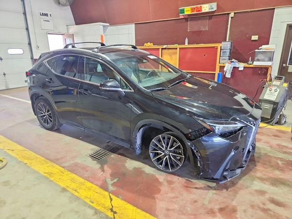2024 LEXUS NX 250 350 Base