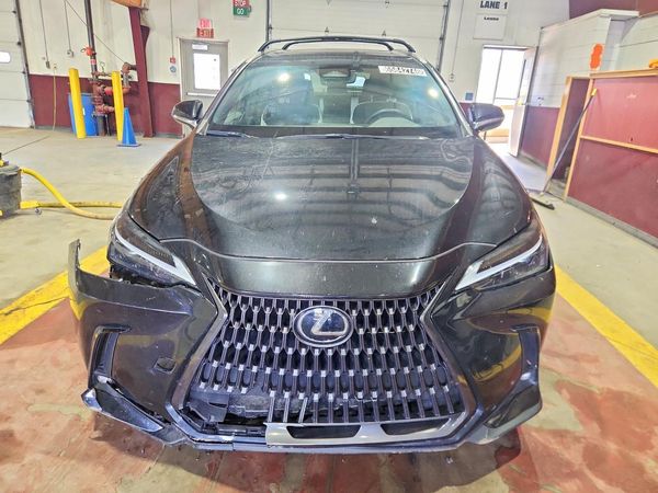 2024 LEXUS NX 250 350 Base