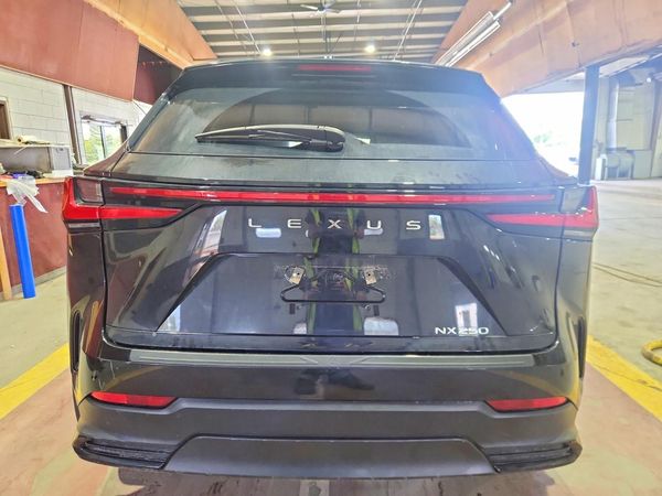 2024 LEXUS NX 250 350 Base