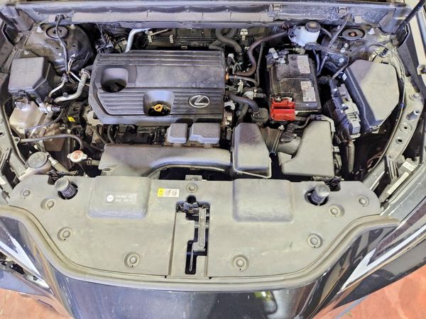 2024 LEXUS NX 250 350 Base