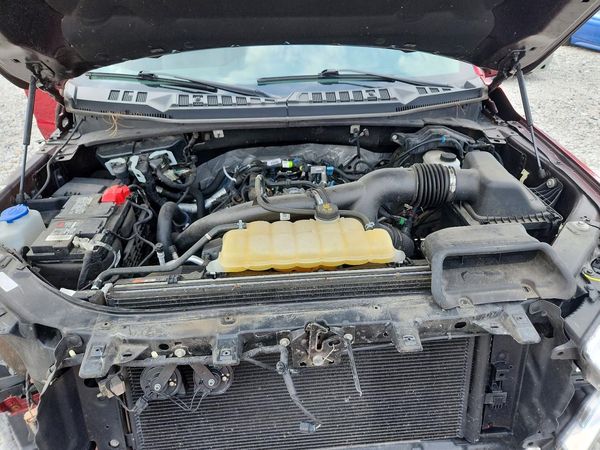 2019 FORD F150