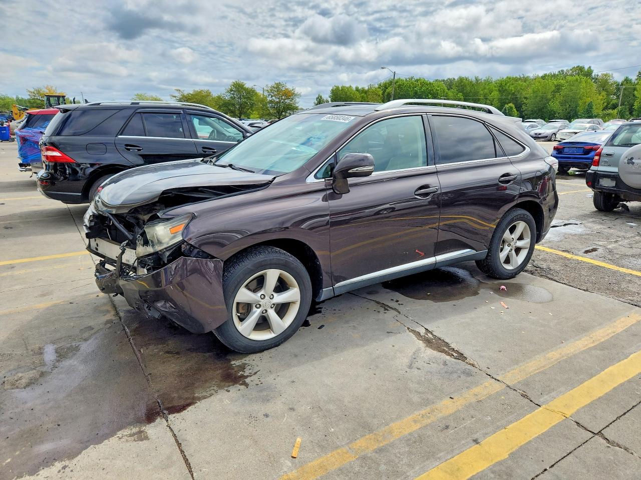 2013 LEXUS RX