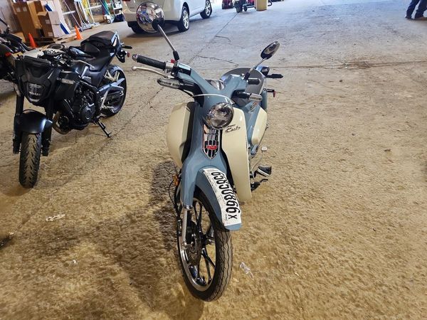 2023 HONDA CUB