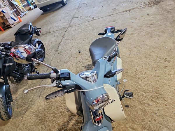 2023 HONDA CUB