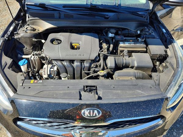 2019 KIA FORTE FE/LX/LXS