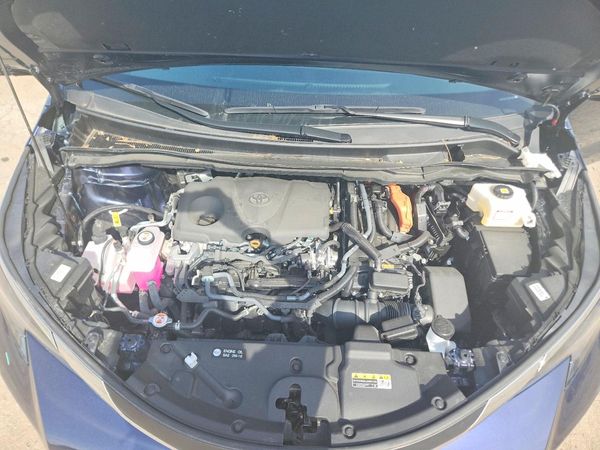 2025 TOYOTA SIENNA