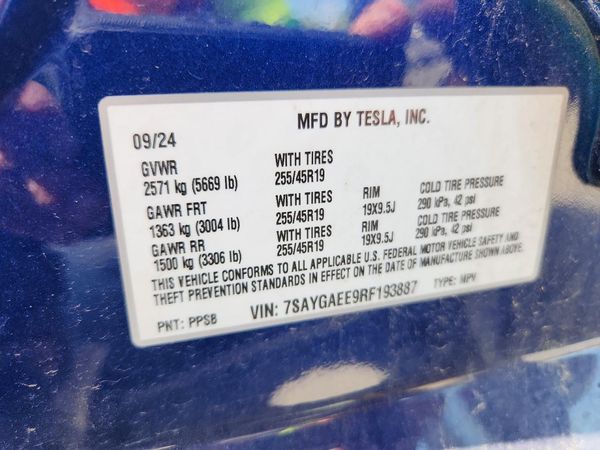 2024 TESLA MODEL Y