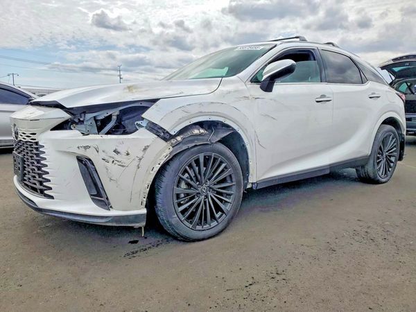 2024 LEXUS RX
