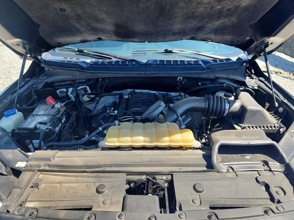 2019 FORD F150