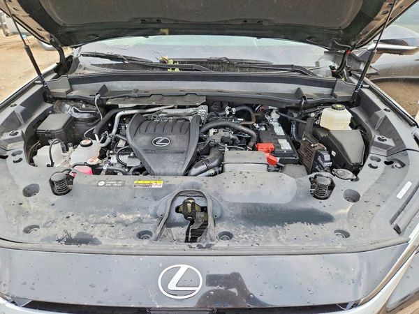 2025 LEXUS TX 350