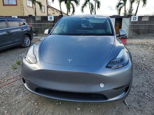 2025 TESLA MODEL Y