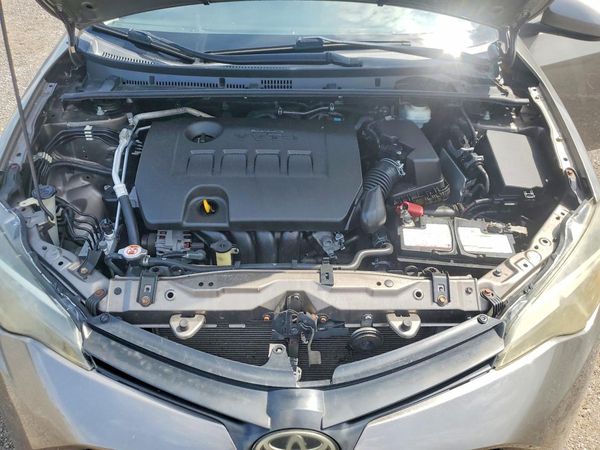 2019 TOYOTA COROLLA