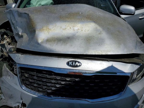 2019 KIA SEDONA L