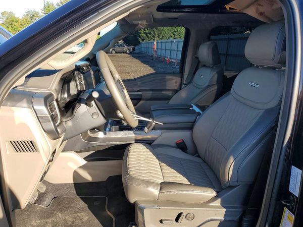 2025 FORD F150 Platinum