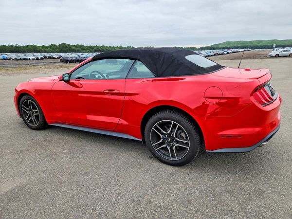 2019 FORD MUSTANG I4 Convertible