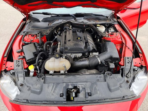 2019 FORD MUSTANG I4 Convertible