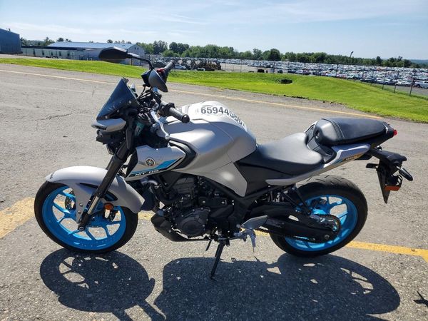 2025 YAMAHA MTN320