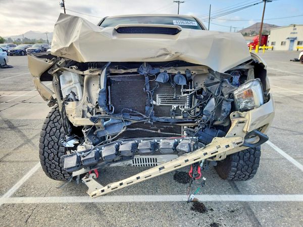 2019 TOYOTA TACOMA — DIRF