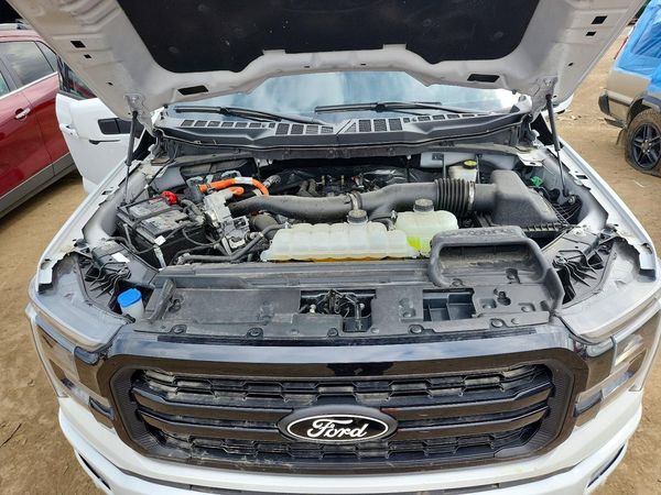 2024 FORD F150