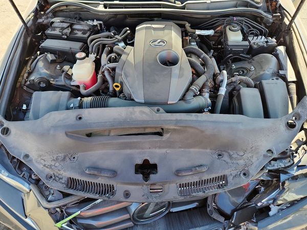 2019 LEXUS IS 300