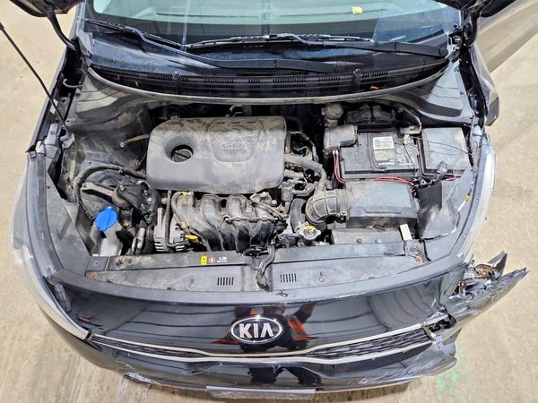 2018 KIA RIO