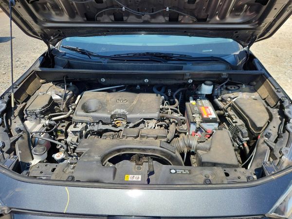 2019 TOYOTA RAV4