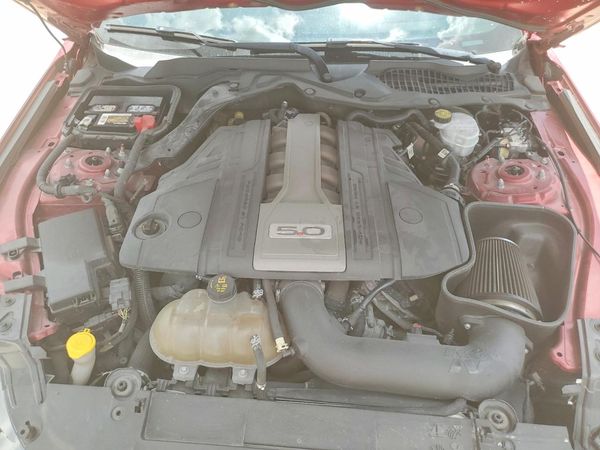 2019 FORD MUSTANG GT Coupe