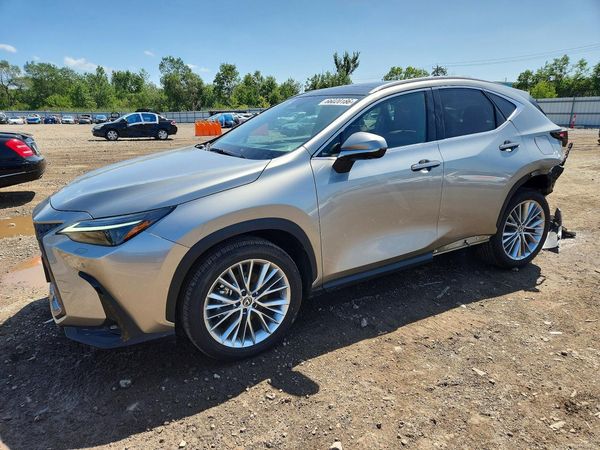 2024 LEXUS NX