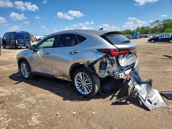 2024 LEXUS NX