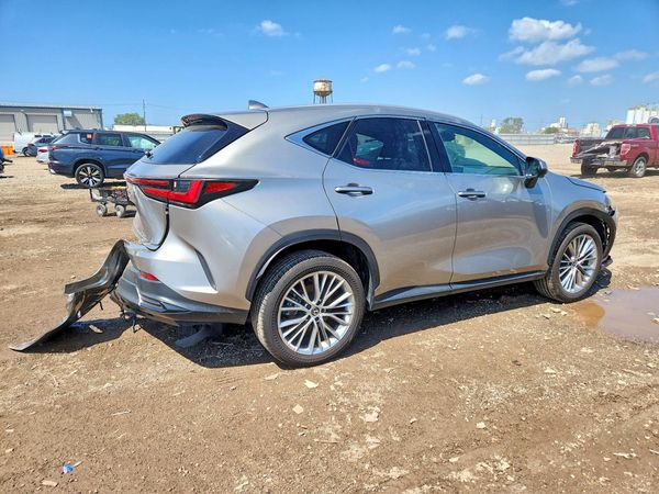 2024 LEXUS NX