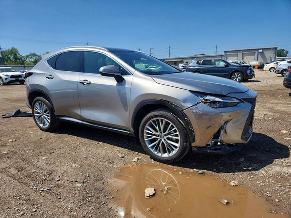 2024 LEXUS NX