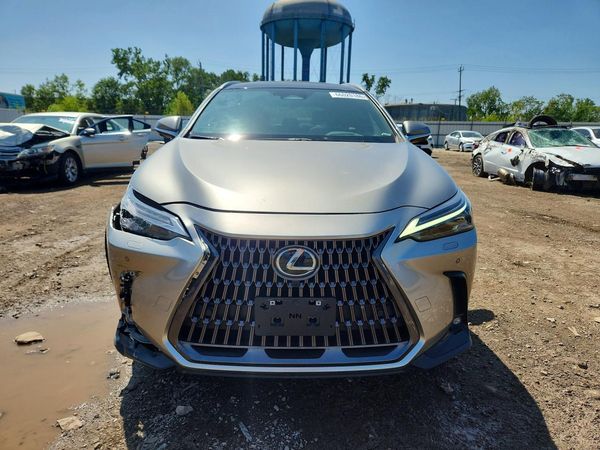 2024 LEXUS NX