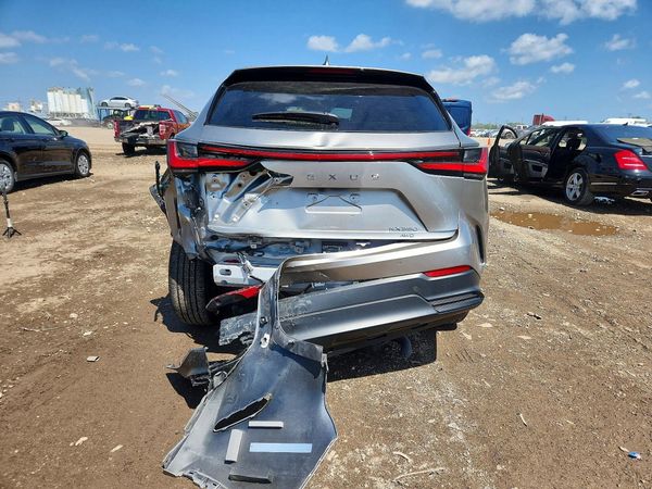 2024 LEXUS NX