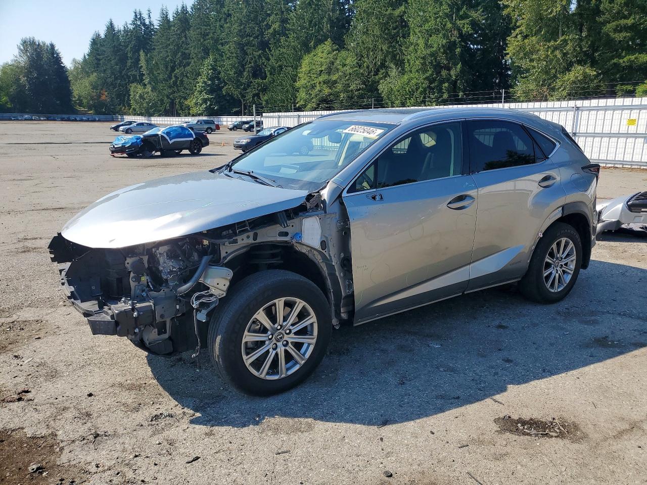 2020 LEXUS NX 300H Comfort