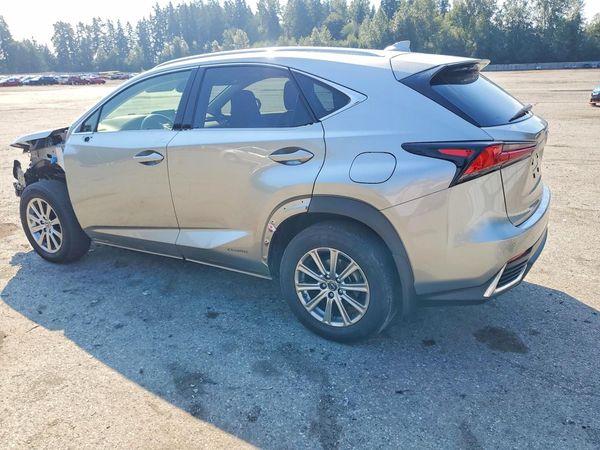2020 LEXUS NX 300H Comfort