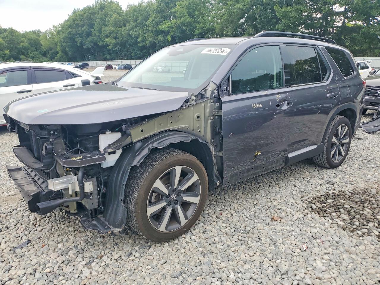 2025 HONDA PILOT