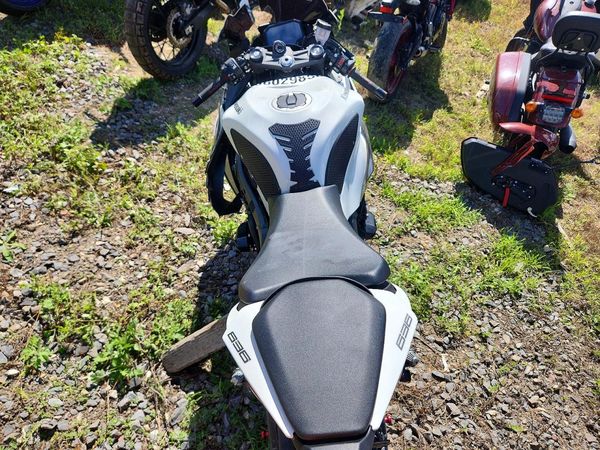 2025 KAWASAKI NINJA 600