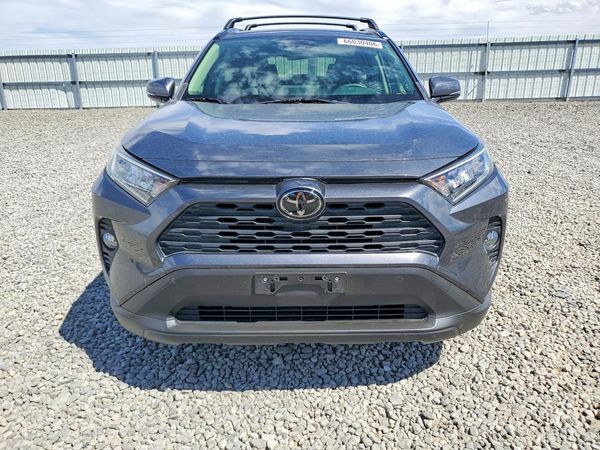 2019 TOYOTA RAV4 XLE / XLE Premium 4WD